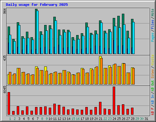 Daily usage for February 2025
