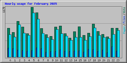 Hourly usage for February 2025
