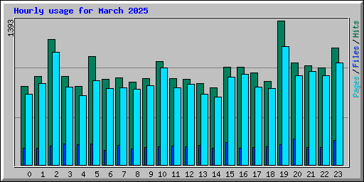 Hourly usage for March 2025