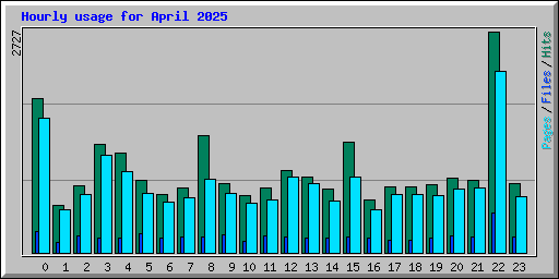 Hourly usage for April 2025