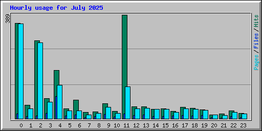 Hourly usage for July 2025