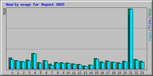 Hourly usage for August 2025