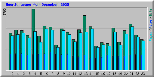 Hourly usage for December 2025