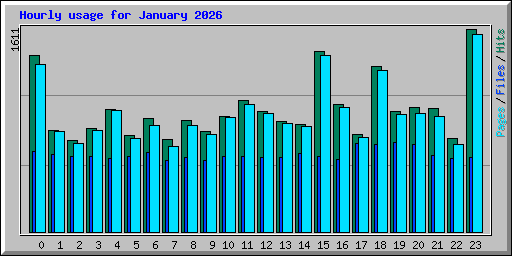 Hourly usage for January 2026
