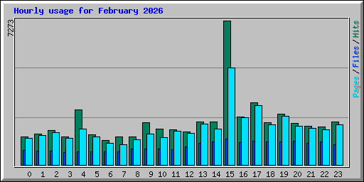 Hourly usage for February 2026