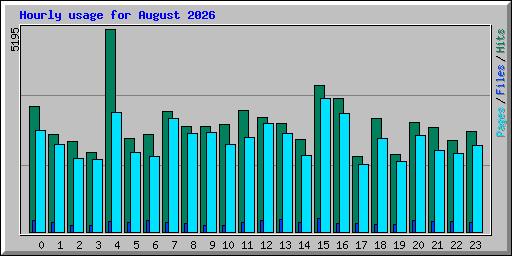 Hourly usage for August 2026